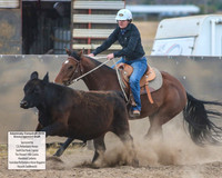 AdaminabyCampdraft2019_6704