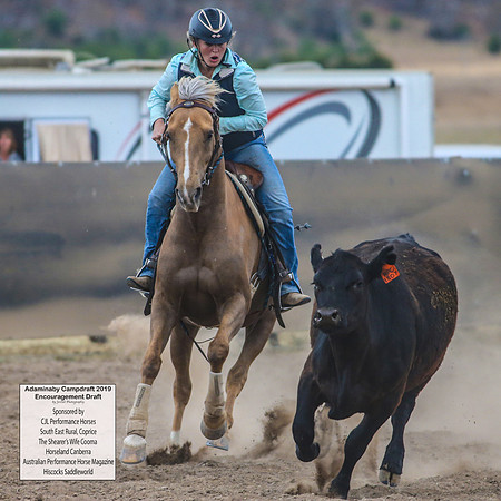 AdaminabyCampdraft2019_6715