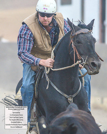 AdaminabyCampdraft2019_6604
