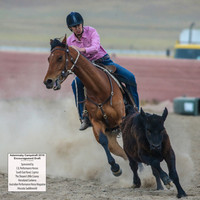 AdaminabyCampdraft2019_6687
