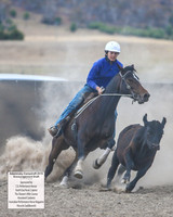 AdaminabyCampdraft2019_6609