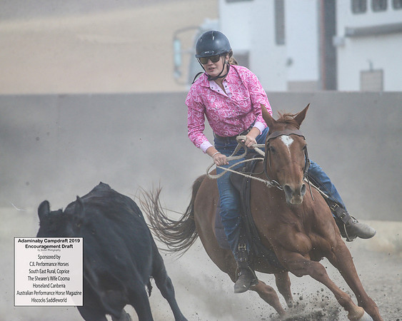 AdaminabyCampdraft2019_6582