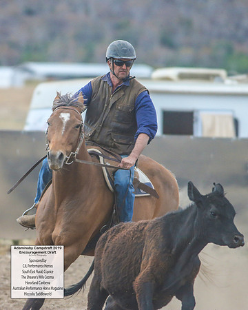 AdaminabyCampdraft2019_6628