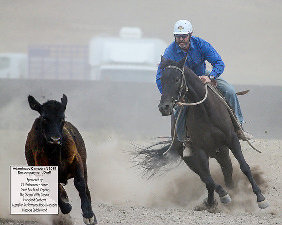 AdaminabyCampdraft2019_6591