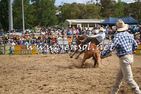 JindabyneRodeo2014_2284