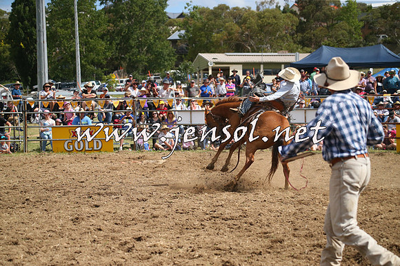 JindabyneRodeo2014_2286