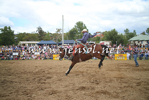JindabyneRodeo2014_1149
