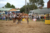 JindabyneRodeo2014_0300