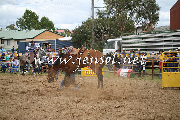 JindabyneRodeo2014_0300