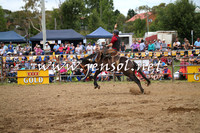 JindabyneRodeo2014_0346