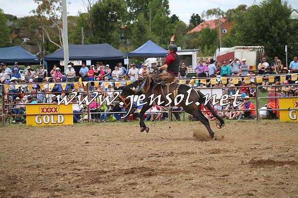 JindabyneRodeo2014_0346