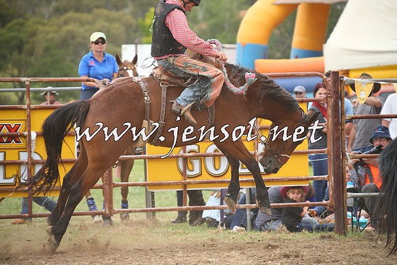 JindabyneRodeo2014_0792
