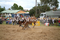JindabyneRodeo2014_0317