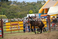 JindabyneRodeo2014_0366