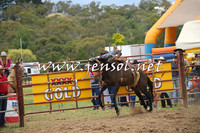 JindabyneRodeo2014_0365