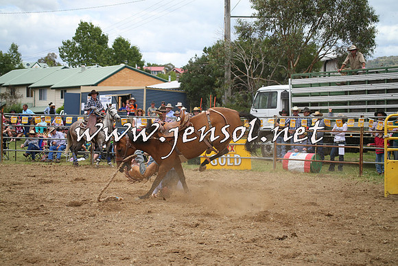 JindabyneRodeo2014_0315
