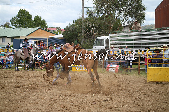 JindabyneRodeo2014_0298