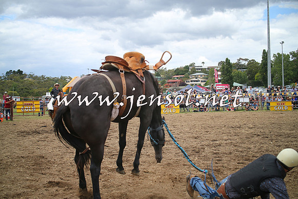 JindabyneRodeo2014_0386