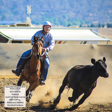 AdaminabyCampdraft2019_0103