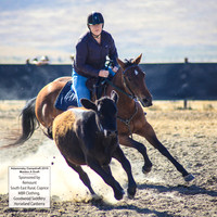 AdaminabyCampdraft2019_0133