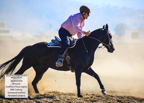AdaminabyCampdraft2019_0038