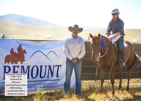 AdaminabyCampdraft2019_0345