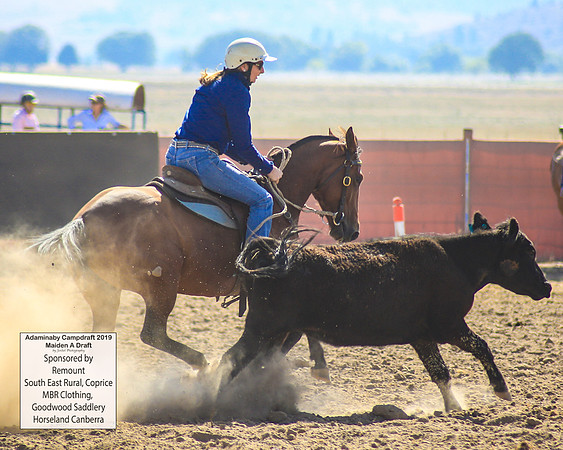 AdaminabyCampdraft2019_0277