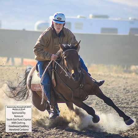 AdaminabyCampdraft2019_0009