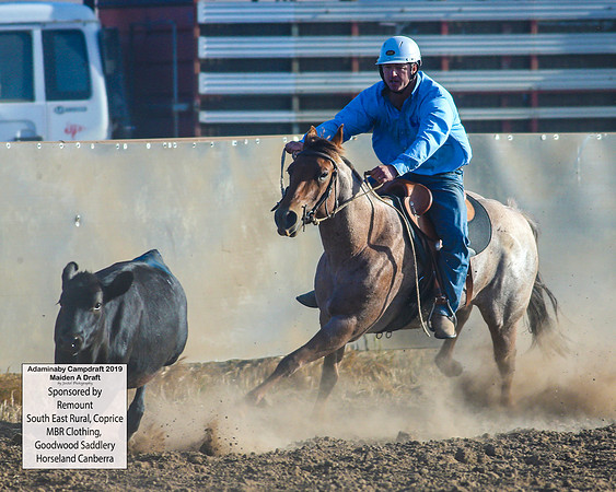 AdaminabyCampdraft2019_1644