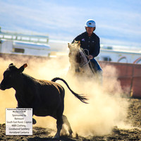 AdaminabyCampdraft2019_0074