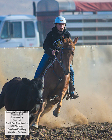 AdaminabyCampdraft2019_1620