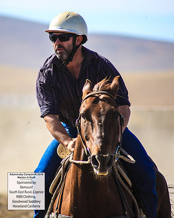 AdaminabyCampdraft2019_0235