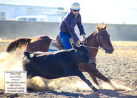 AdaminabyCampdraft2019_0013