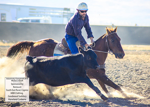 AdaminabyCampdraft2019_0013