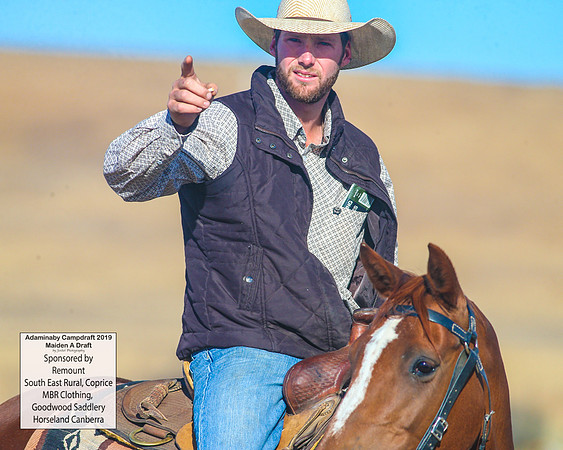 AdaminabyCampdraft2019_1684