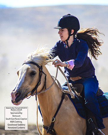AdaminabyCampdraft2019_0174