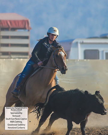 AdaminabyCampdraft2019_1593