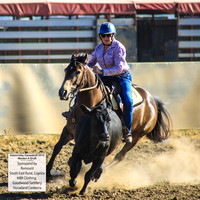 AdaminabyCampdraft2019_0093