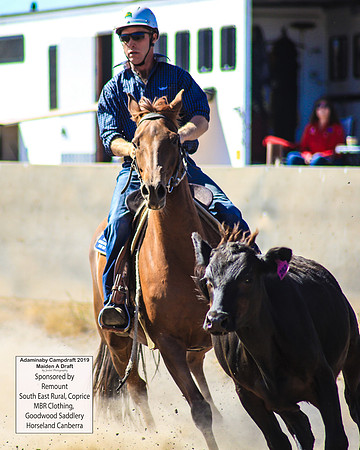 AdaminabyCampdraft2019_0318