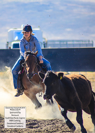 AdaminabyCampdraft2019_0058