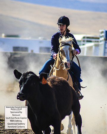 AdaminabyCampdraft2019_0170