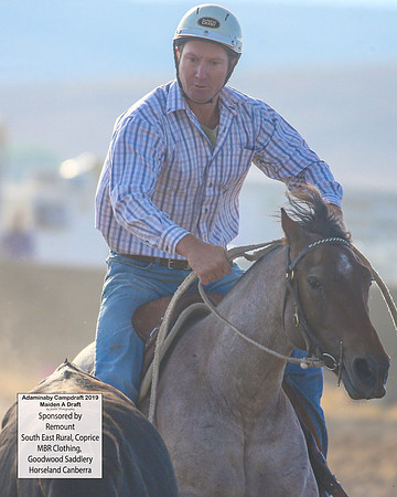 AdaminabyCampdraft2019_1673