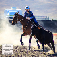 AdaminabyCampdraft2019_0121