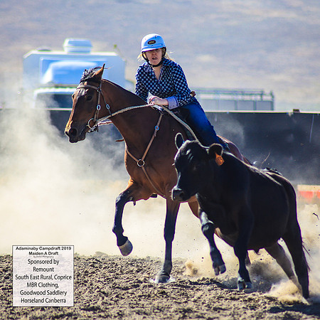 AdaminabyCampdraft2019_0121