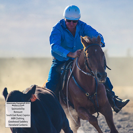 AdaminabyCampdraft2019_1709
