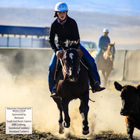 AdaminabyCampdraft2019_0025