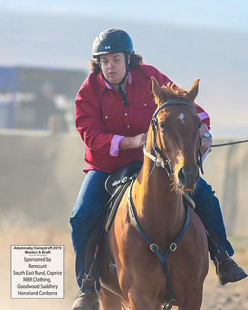 AdaminabyCampdraft2019_1683