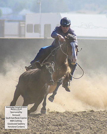 AdaminabyCampdraft2019_0323