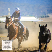 AdaminabyCampdraft2019_0119