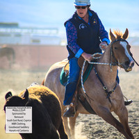 AdaminabyCampdraft2019_0046